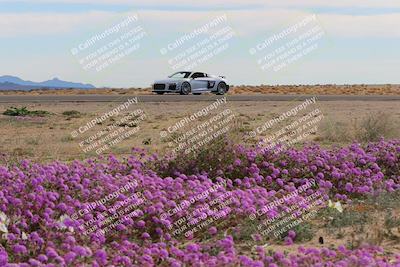 media/Jan-08-2023-SCCA SD (Sun) [[8f6a5b9391]]/Advanced Group/Session 2 (Short Straight)/